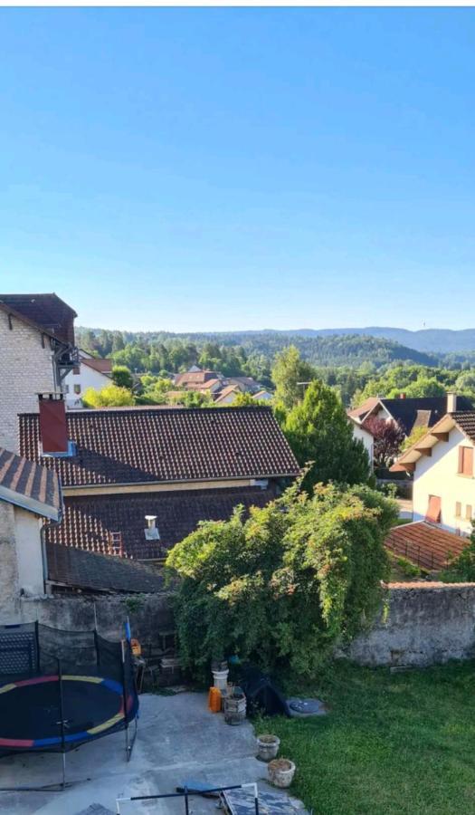 Le Nid Pres Du Lac Clairvaux-les-Lacs Bagian luar foto